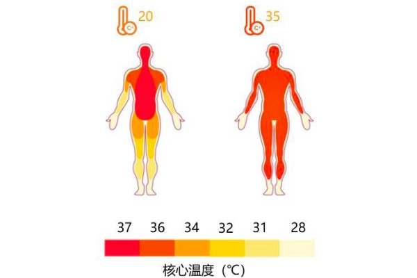 哀牢山遇难人员生前曾现失温症状，人体失温会出现哪些症状？