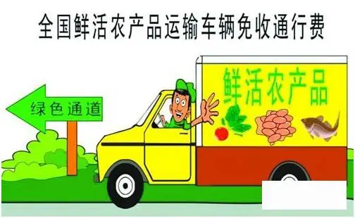 男子为省过路费拉12箱芒果走绿通，这是否符合要求？