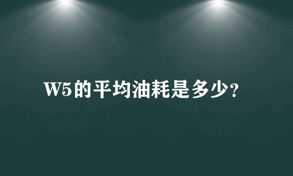 W5的平均油耗是多少？