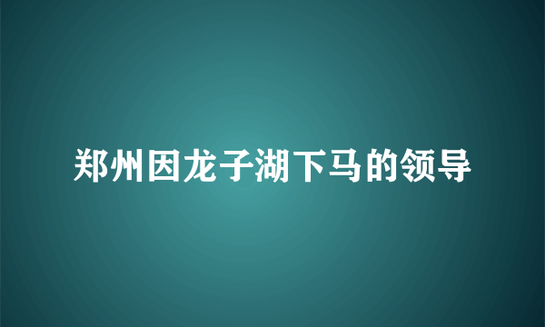 郑州因龙子湖下马的领导