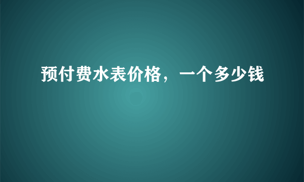 预付费水表价格，一个多少钱