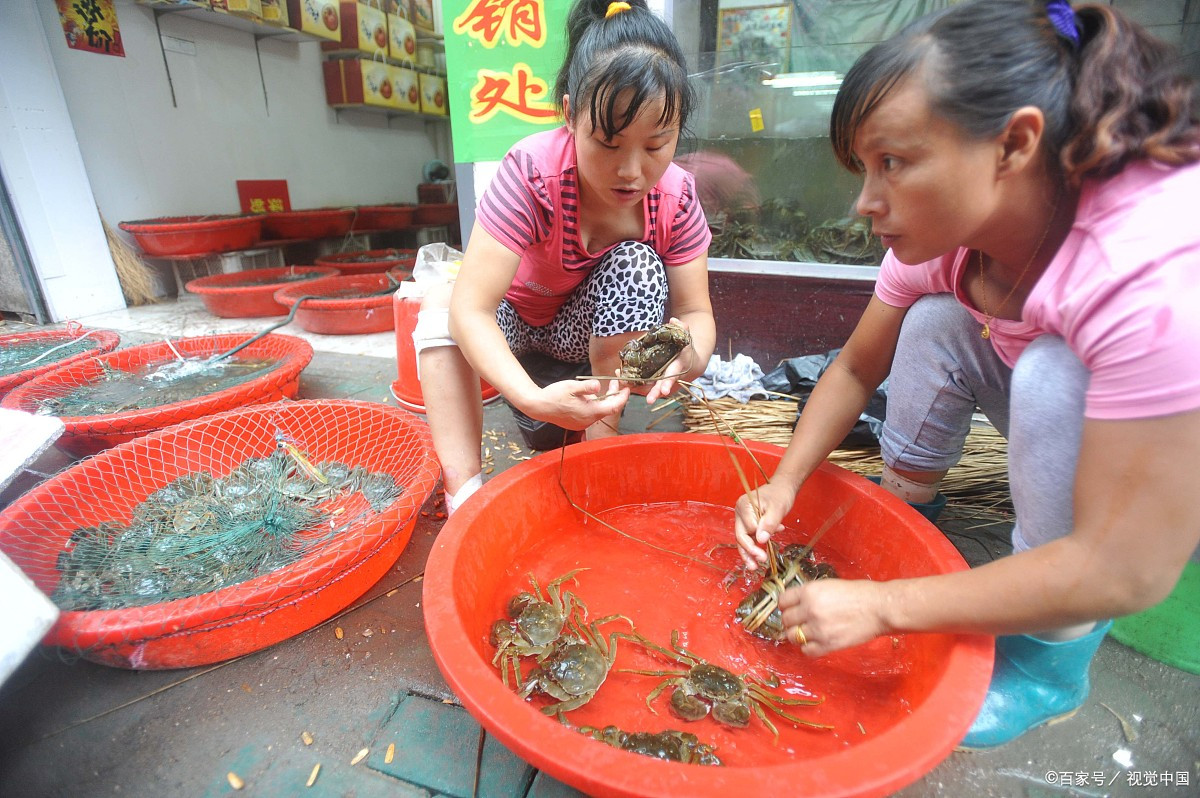 女人一天能吃几个螃蟹