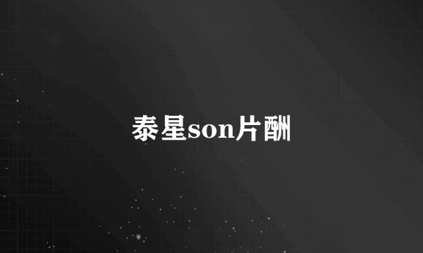 泰星son片酬