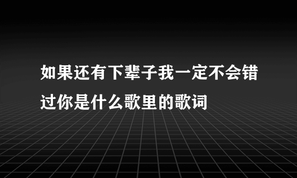 如果还有下辈子我一定不会错过你是什么歌里的歌词