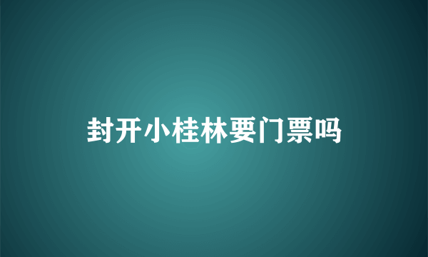 封开小桂林要门票吗