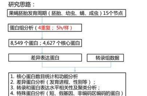 怎么样使用quantity one 进行蛋白的相对含量分析比较