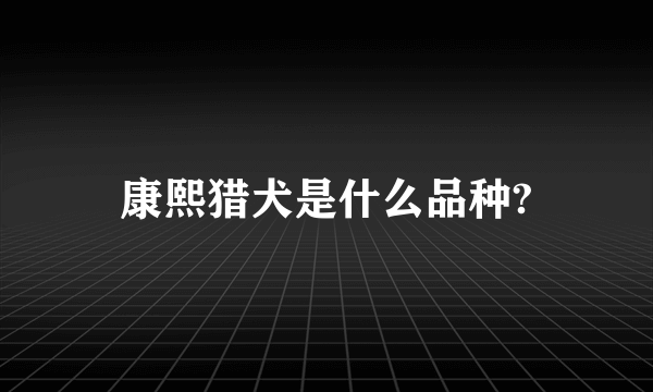 康熙猎犬是什么品种?