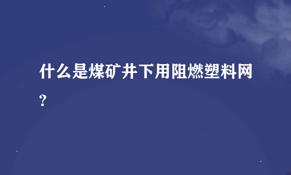 什么是煤矿井下用阻燃塑料网?