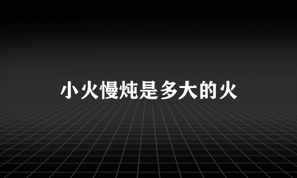 小火慢炖是多大的火