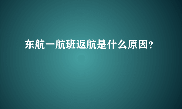 东航一航班返航是什么原因？