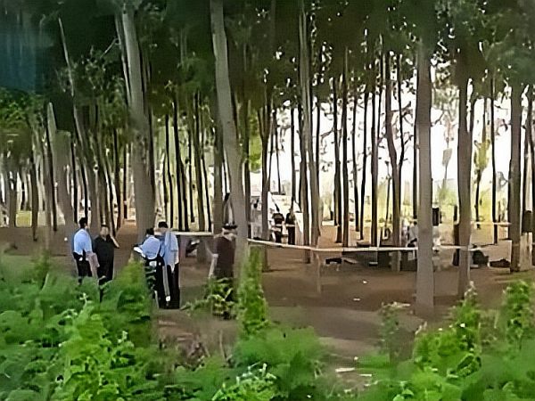 唐山一小树林里两人被害，当地居民揭露死者身份，死者的身份究竟是谁？