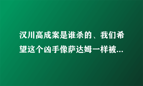 汉川高成案是谁杀的、我们希望这个凶手像萨达姆一样被吊死。。。。。。。。。。。。。。