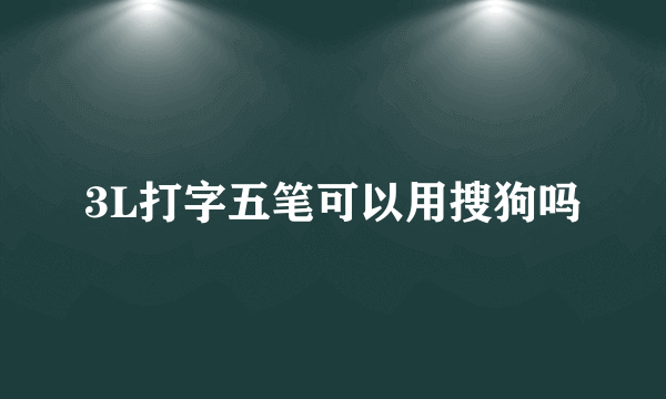 3L打字五笔可以用搜狗吗