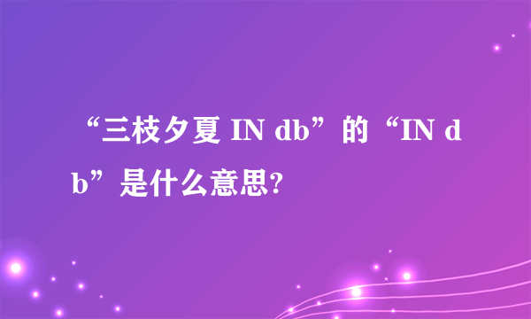 “三枝夕夏 IN db”的“IN db”是什么意思?