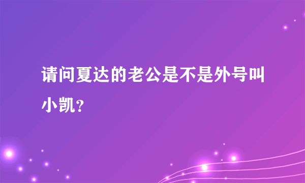 请问夏达的老公是不是外号叫小凯？