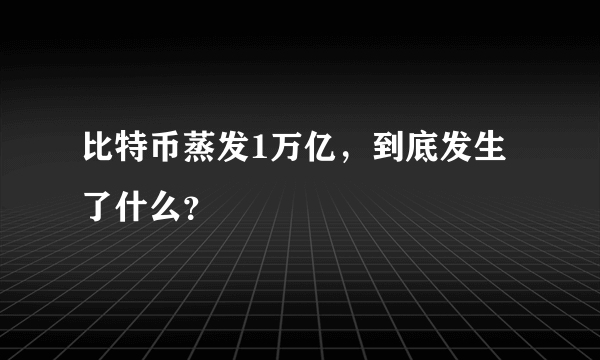 比特币蒸发1万亿，到底发生了什么？