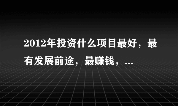 2012年投资什么项目最好，最有发展前途，最赚钱，投资小回报大的？