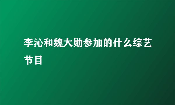 李沁和魏大勋参加的什么综艺节目