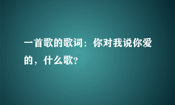 一首歌的歌词：你对我说你爱的，什么歌？