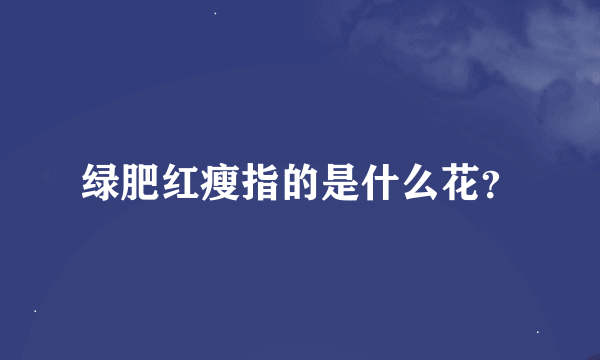 绿肥红瘦指的是什么花？