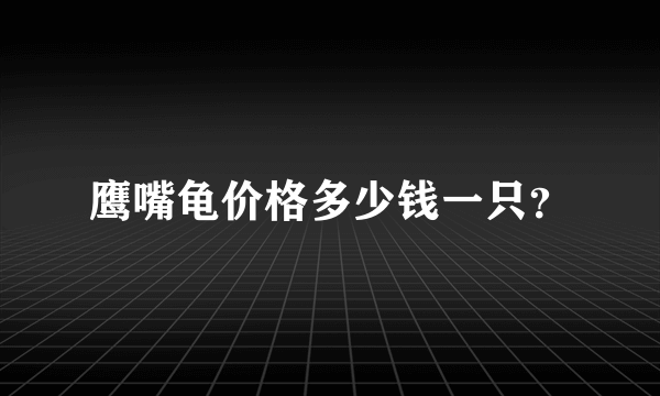 鹰嘴龟价格多少钱一只？