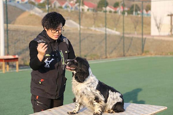 巴黎一只狗与主人同床后被感染猴痘，人传动物的几率有多大？