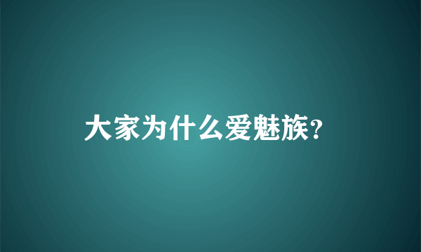 大家为什么爱魅族？