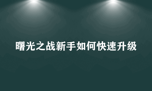 曙光之战新手如何快速升级