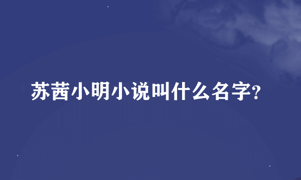 苏茜小明小说叫什么名字？