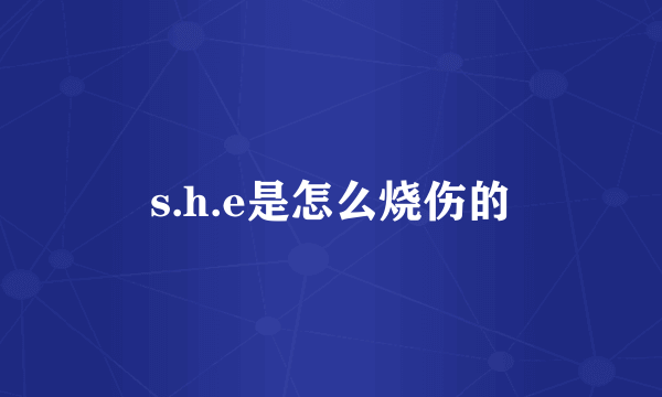 s.h.e是怎么烧伤的