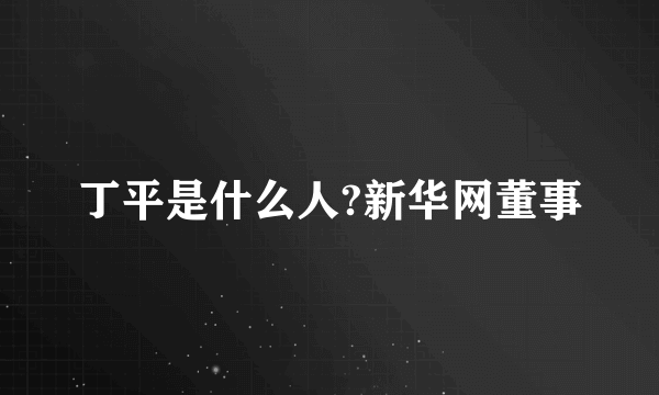 丁平是什么人?新华网董事