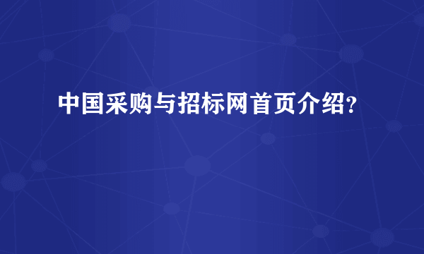 中国采购与招标网首页介绍？