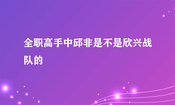 全职高手中邱非是不是欣兴战队的