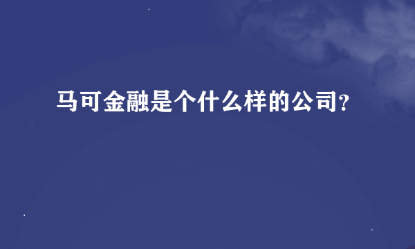 马可金融是个什么样的公司？