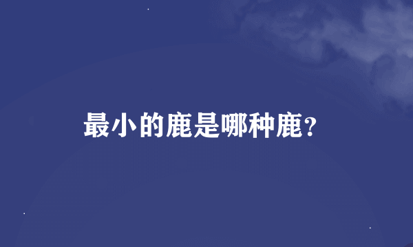 最小的鹿是哪种鹿？