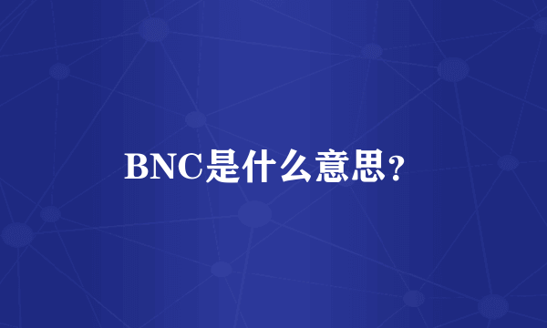 BNC是什么意思？