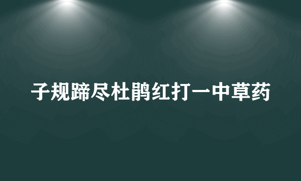 子规蹄尽杜鹃红打一中草药