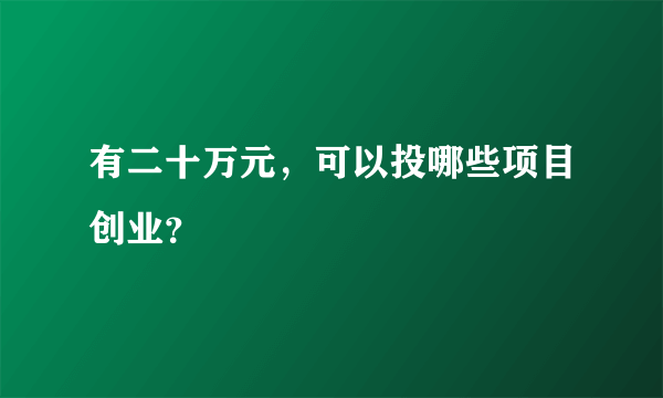 有二十万元，可以投哪些项目创业？