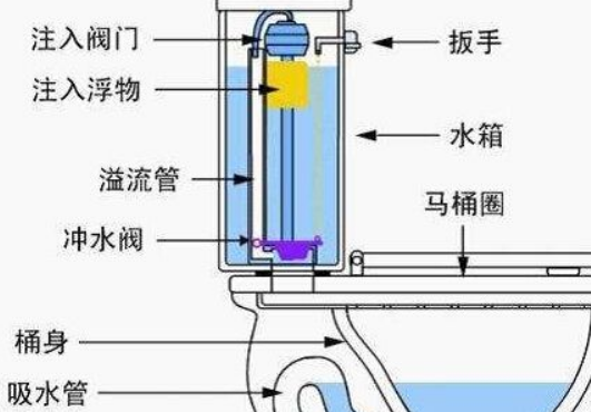 抽水马桶结构图