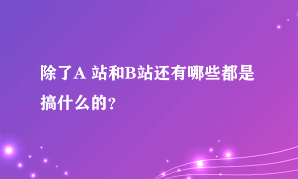 除了A 站和B站还有哪些都是搞什么的？