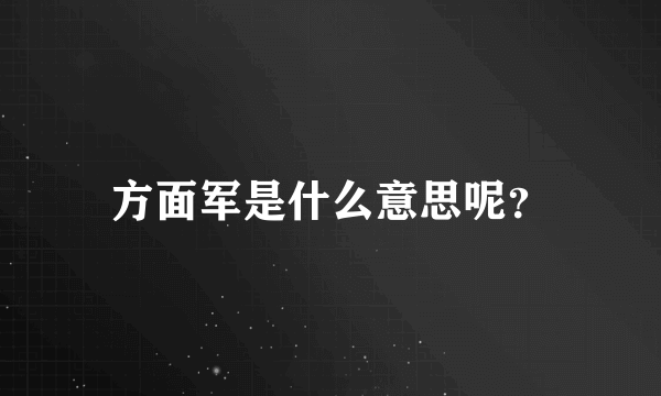 方面军是什么意思呢？