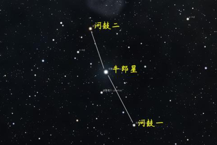 牵牛星是什么意思