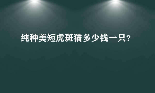 纯种美短虎斑猫多少钱一只？