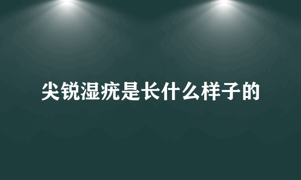 尖锐湿疣是长什么样子的