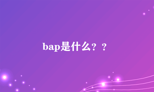 bap是什么？？