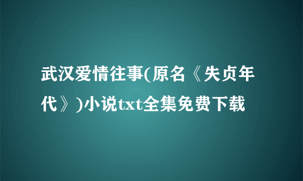 武汉爱情往事(原名《失贞年代》)小说txt全集免费下载