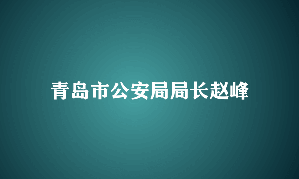 青岛市公安局局长赵峰