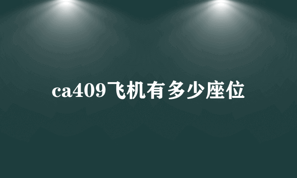 ca409飞机有多少座位