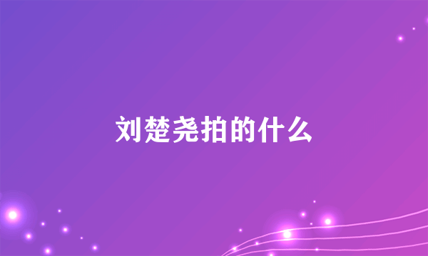 刘楚尧拍的什么