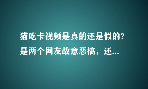 猫吃卡视频是真的还是假的? 是两个网友故意恶搞，还是那个真的是1860话务员？